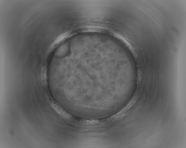X0000111801403200908201143