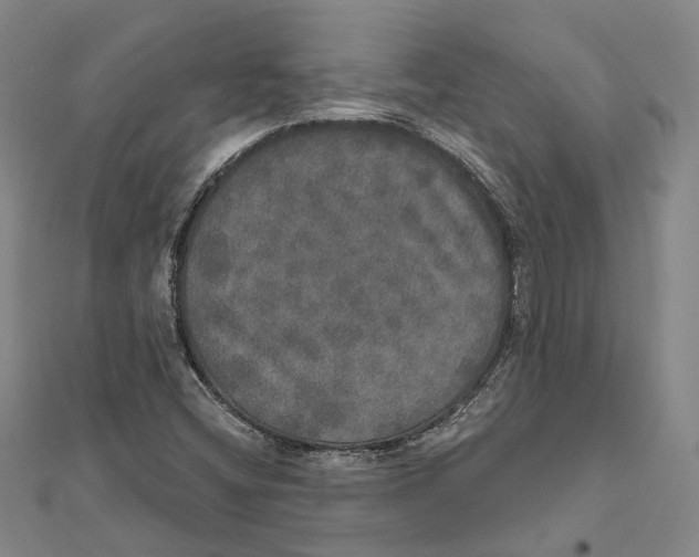 X0000111801404200908201143