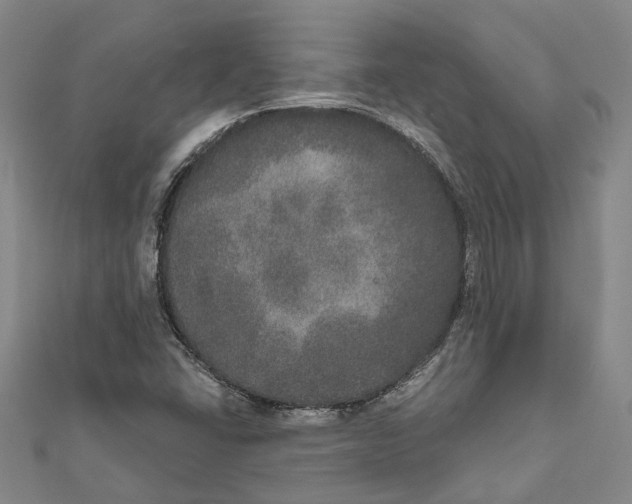 X0000111801406200908201143