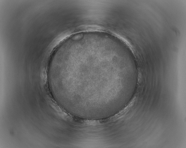 X0000111801407200908201143