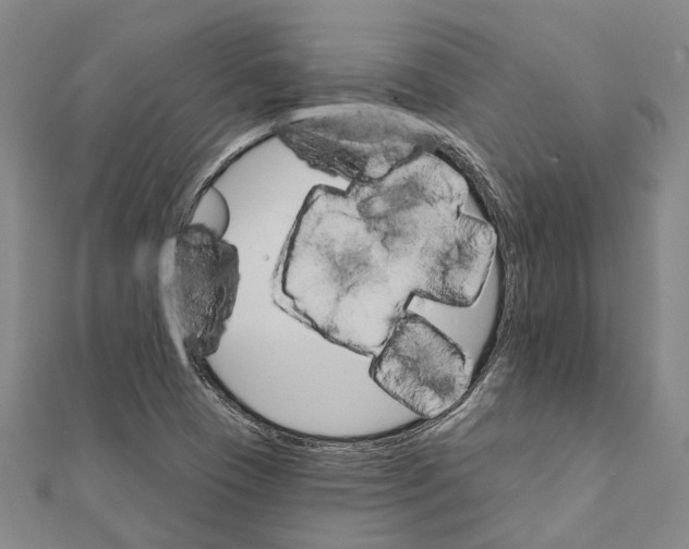 X0000111801409200908201143