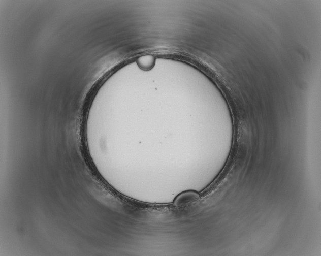 X0000111801410200908201143