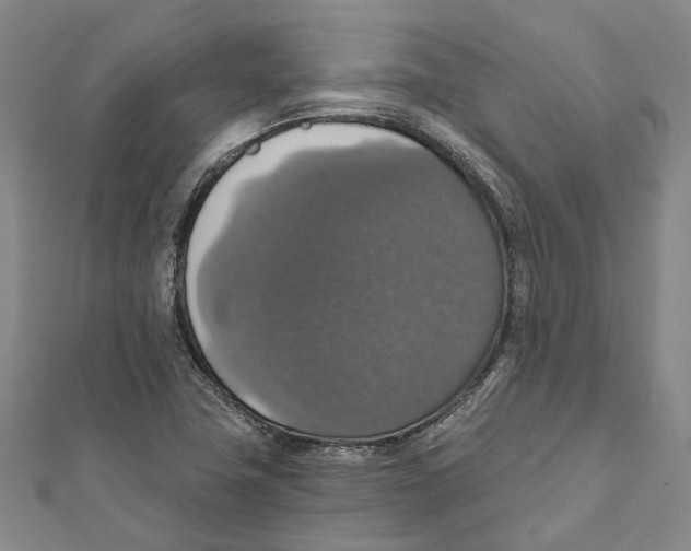 X0000111801411200908201143