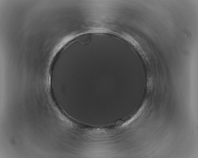 X0000111801414200908201143