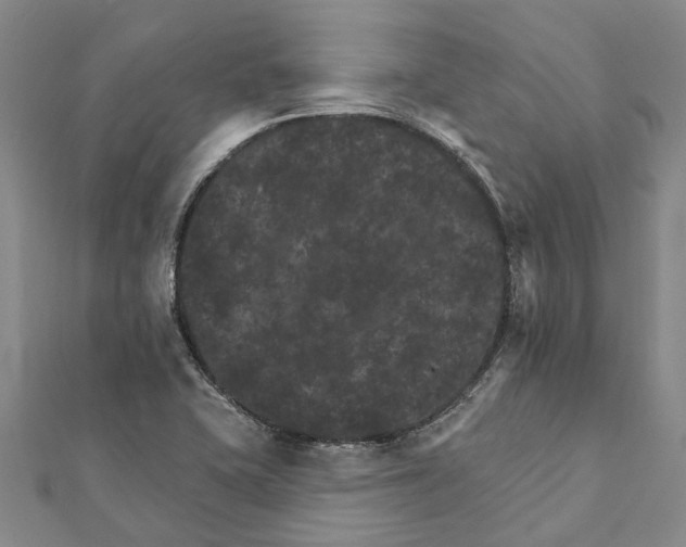 X0000111801415200908201143