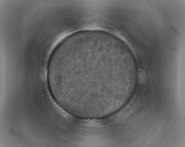 X0000111801416200908201143