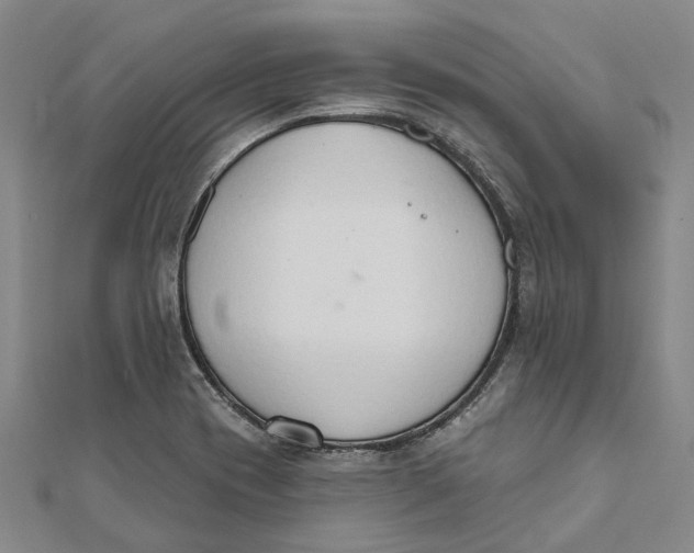 X0000111801417200908201143