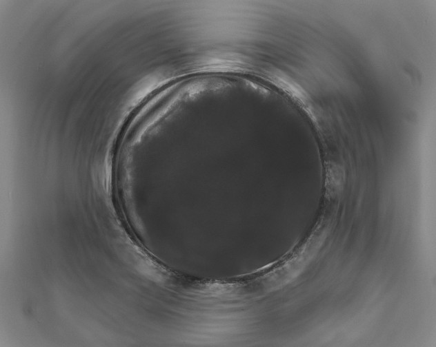 X0000111801419200908201143