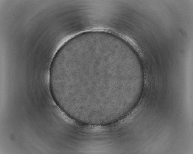 X0000111801420200908201143