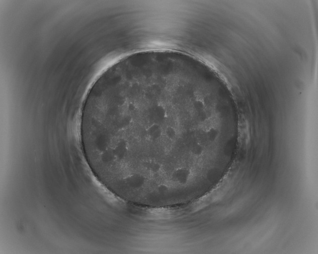 X0000111801421200908201143