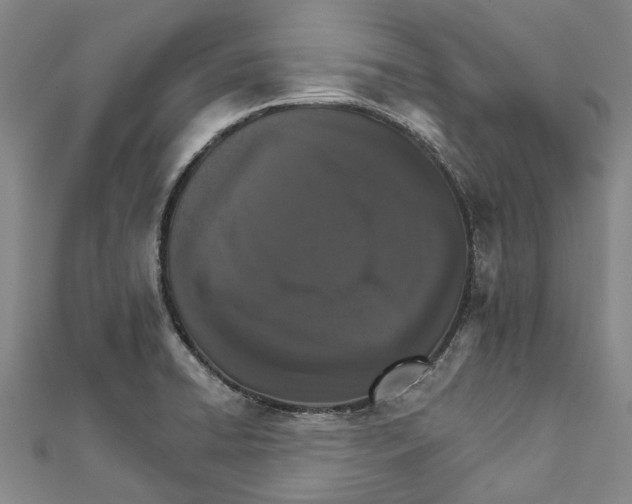X0000111801422200908201143