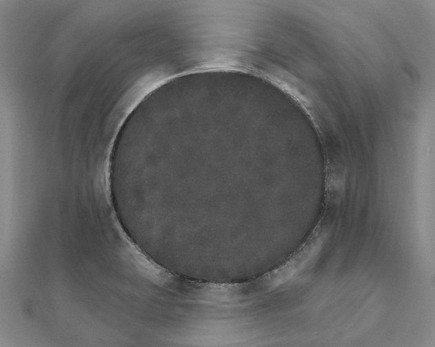 X0000111801423200908201143