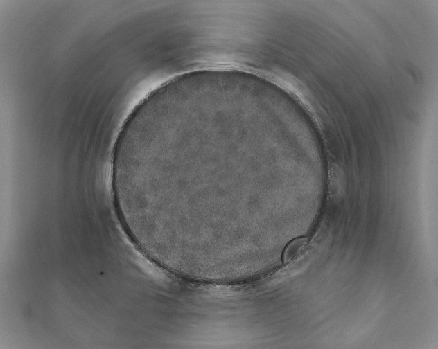 X0000111801424200908201143