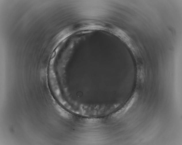 X0000111801425200908201143