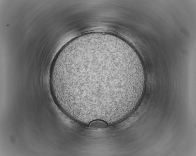 X0000111801426200908201143