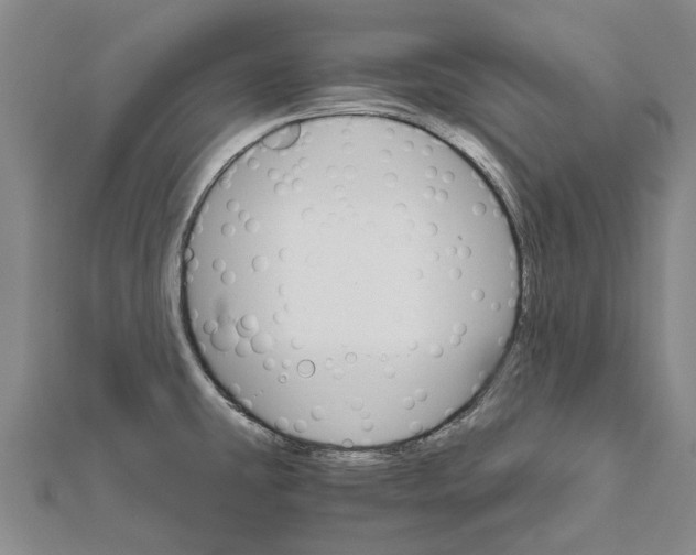 X0000111801431200908201143