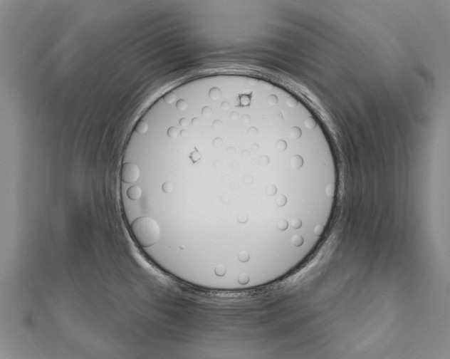 X0000111801433200908201143