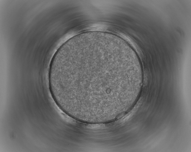 X0000111801434200908201143