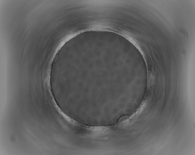 X0000111801437200908201143