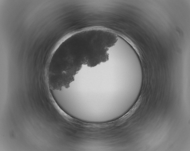 X0000111801438200908201143