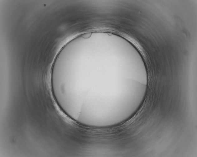 X0000111801439200908201143