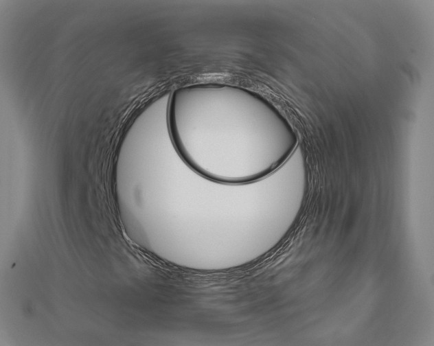 X0000111801441200908201143