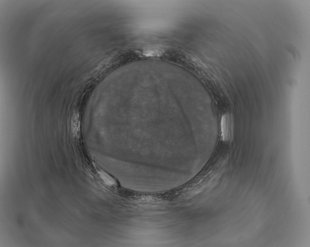 X0000111801443200908201143