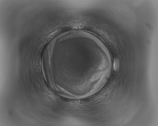 X0000111801444200908201143