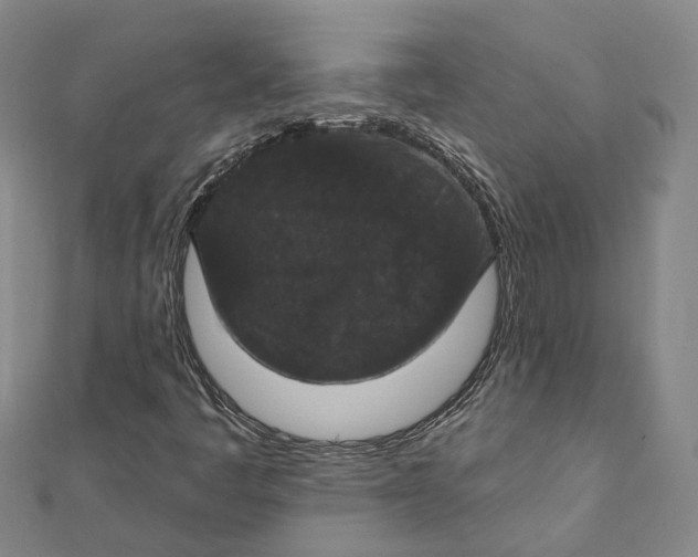 X0000111801445200908201143