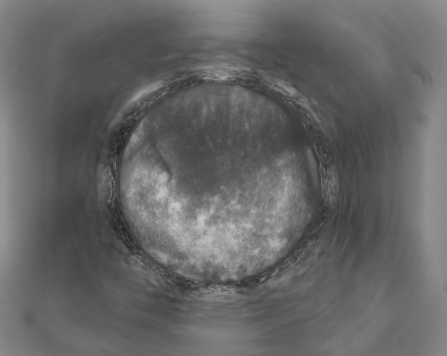 X0000111801446200908201143