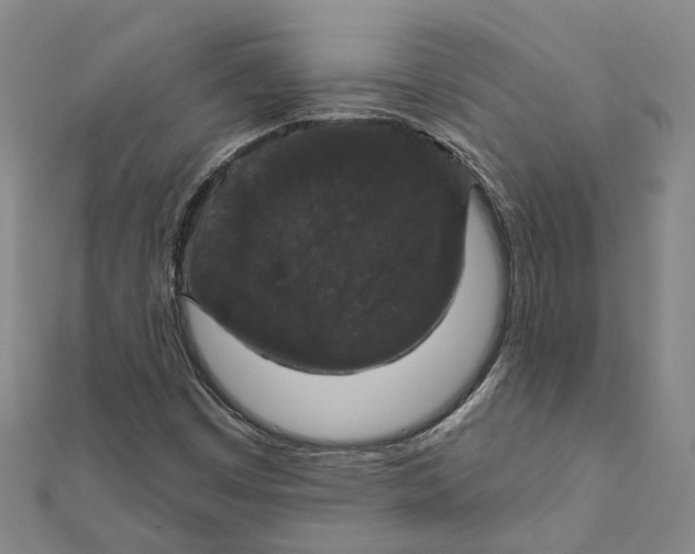 X0000111801449200908201143