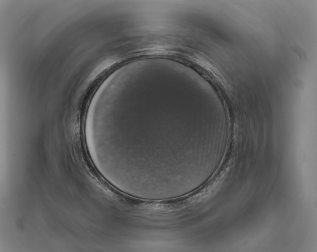 X0000111801450200908201143
