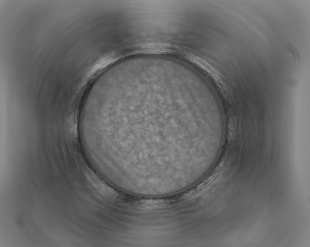 X0000111801451200908201143