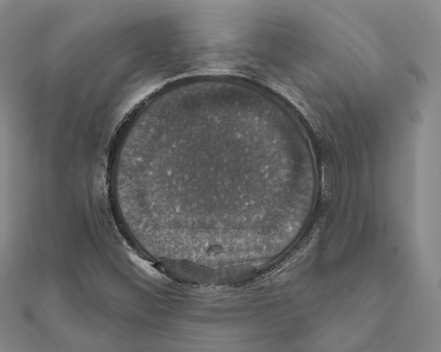 X0000111801452200908201143
