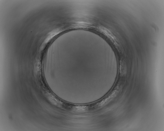 X0000111801453200908201143