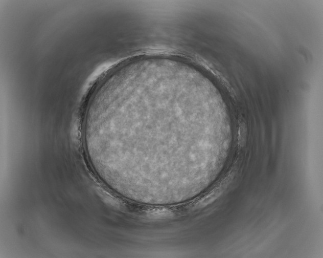 X0000111801454200908201143