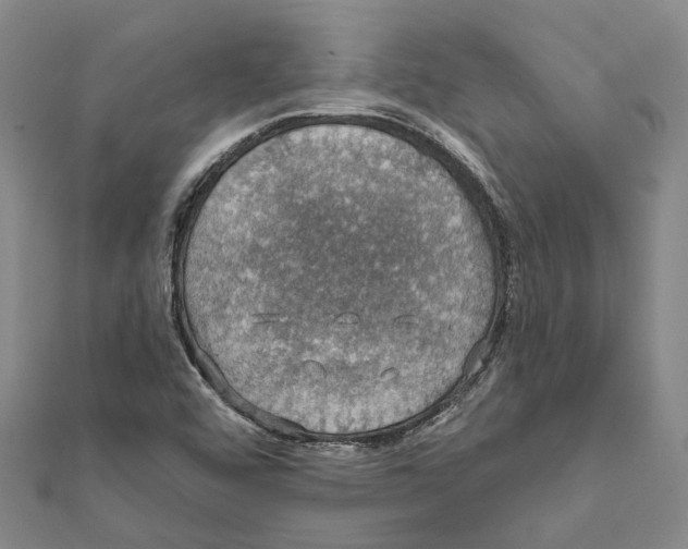 X0000111801456200908201143
