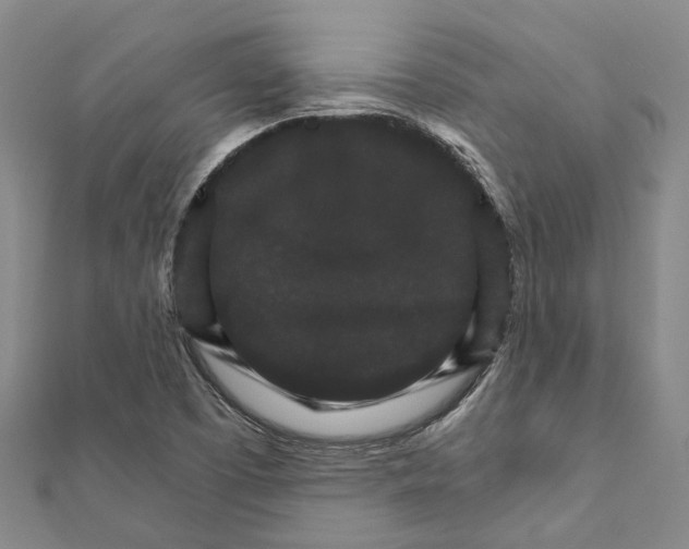 X0000111801457200908201142