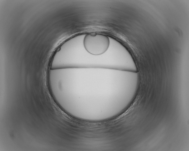X0000111801459200908201142
