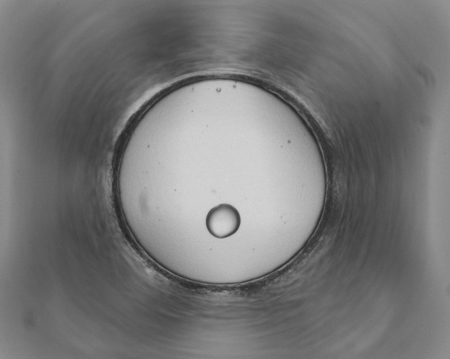 X0000111801460200908201142