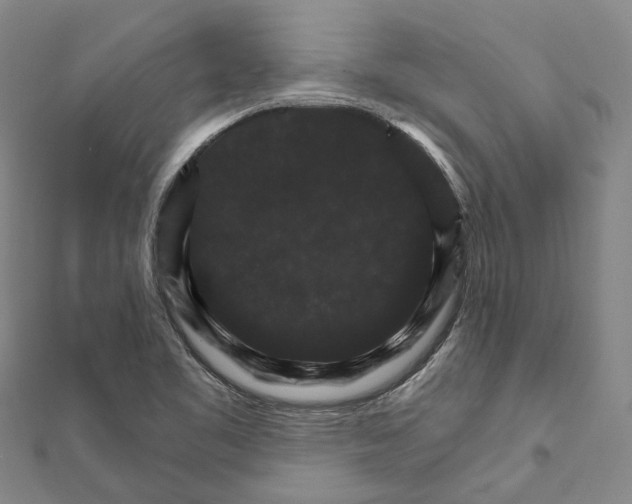 X0000111801461200908201142
