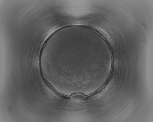 X0000111801465200908201142