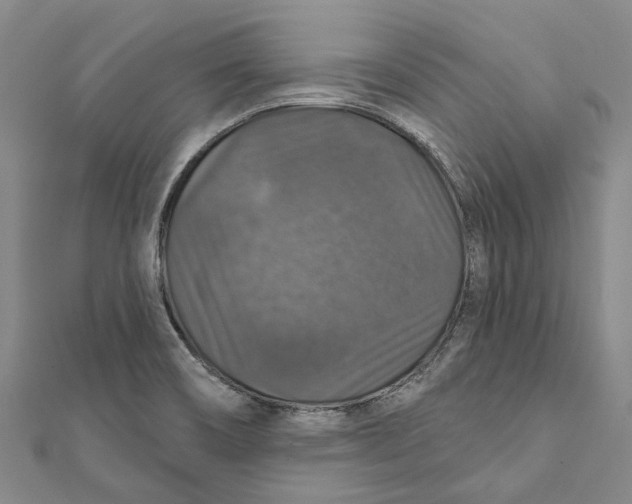 X0000111801466200908201142