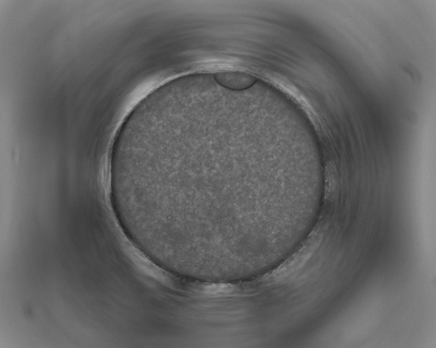 X0000111801467200908201142