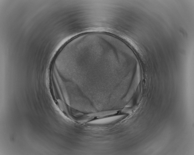 X0000111801468200908201142