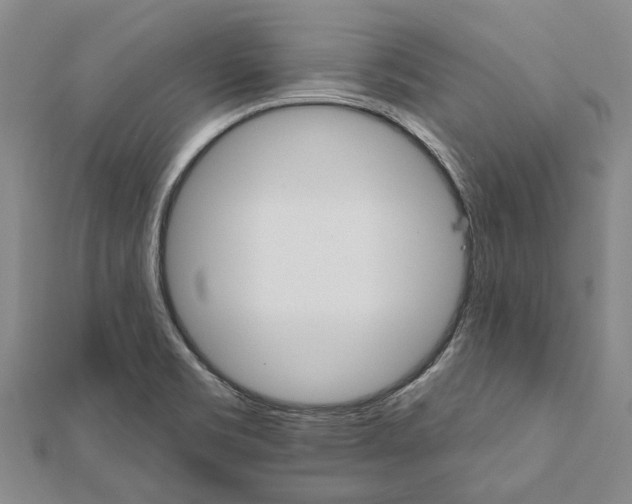 X0000111801469200908201142
