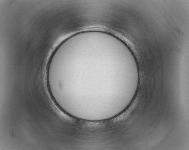 X0000111801470200908201142