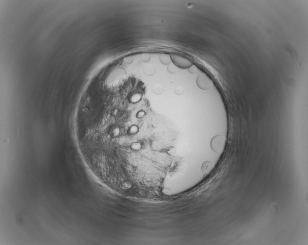 X0000111801471200908201142