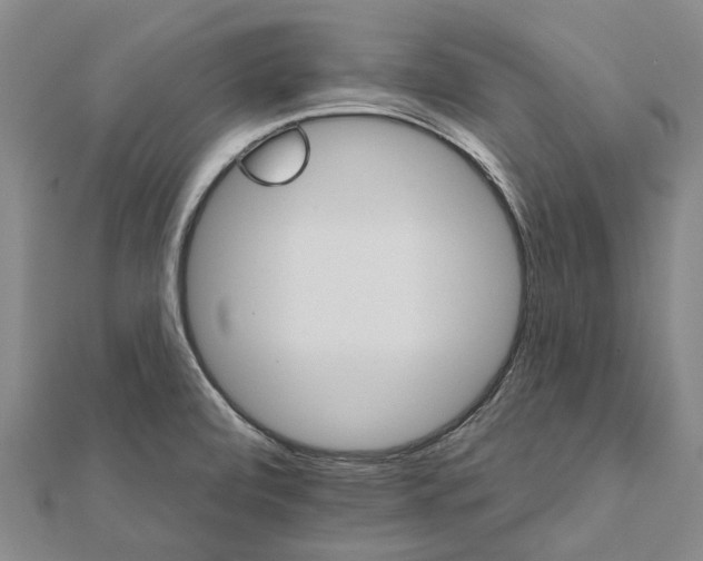 X0000111801472200908201142