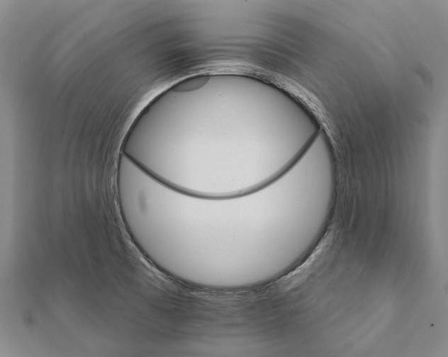 X0000111801473200908201142